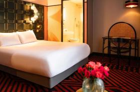 Mercure Bayonne Centre Le Grand Hôtel - photo 10